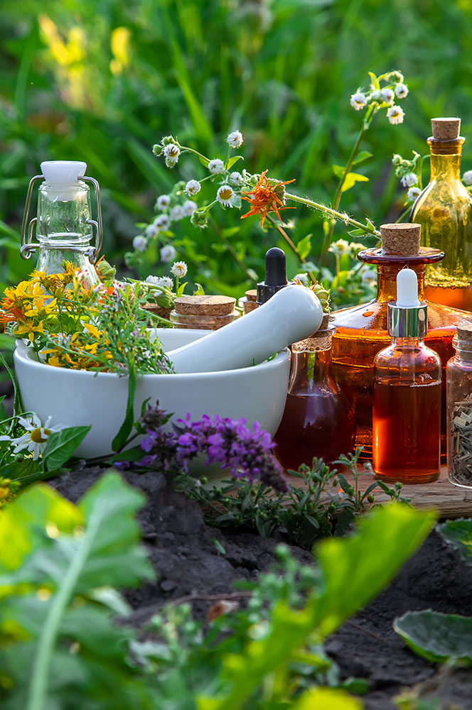 ayurveda